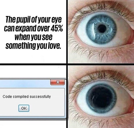 meme4_ success eye