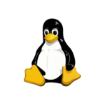 Linux Kernel